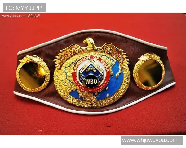 WBO与IBF联手协作一起面临外界竞赛应战